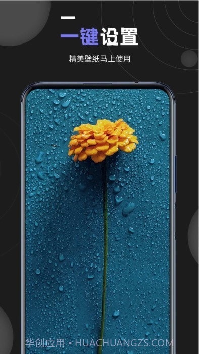 我的壁纸截图1 我的壁纸截图1