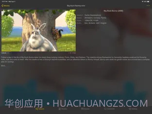 nPlayer截图3 nPlayer截图3