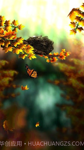 季禅hd截图1 季禅hd截图1