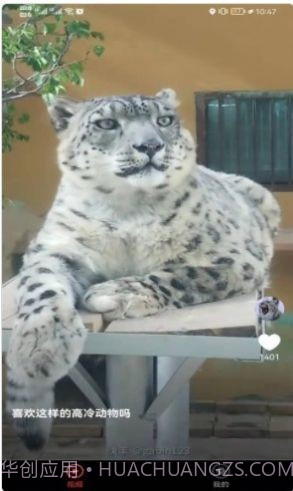 宠物趣看截图4 宠物趣看截图4