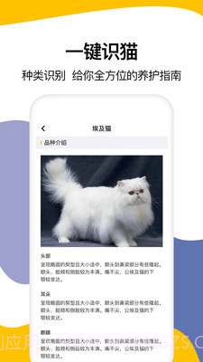 猫语翻译大全截图4
