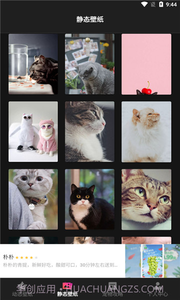 喵喵之家截图2 喵喵之家截图2