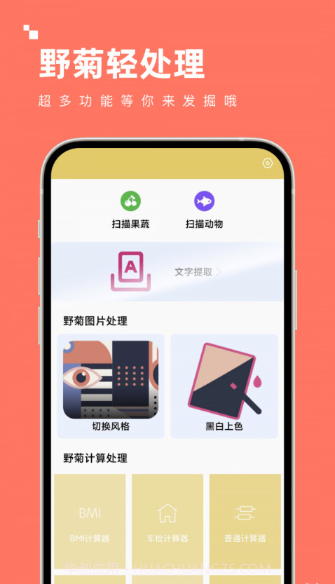 野菊轻处理截图3