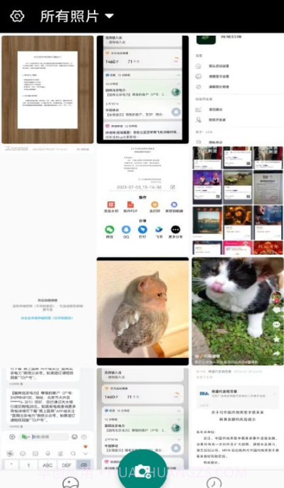 青蛙扫描截图1 青蛙扫描截图1