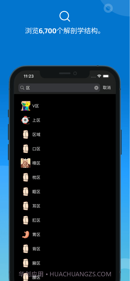 e-anatomy截图2 e-anatomy截图2