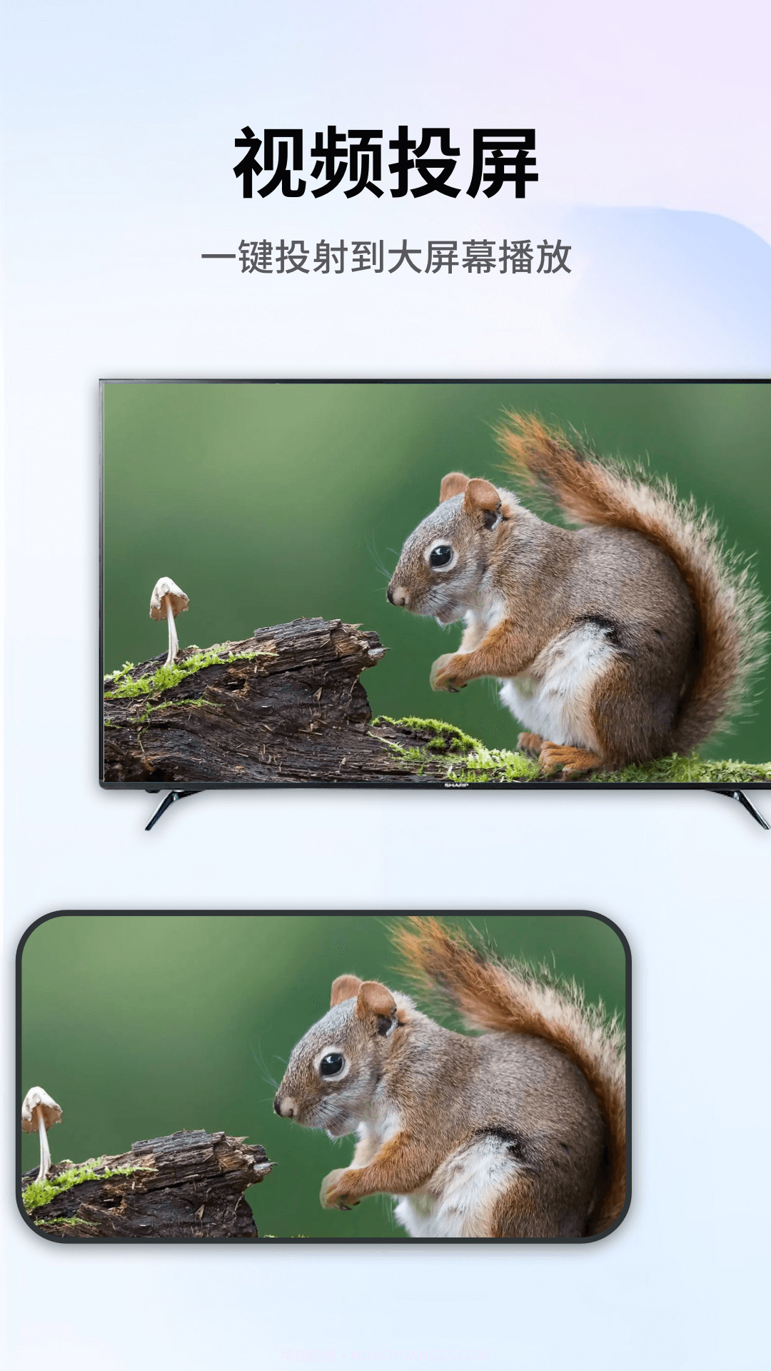 易投屏截图3 易投屏截图3