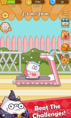 奔跑小猫截图2