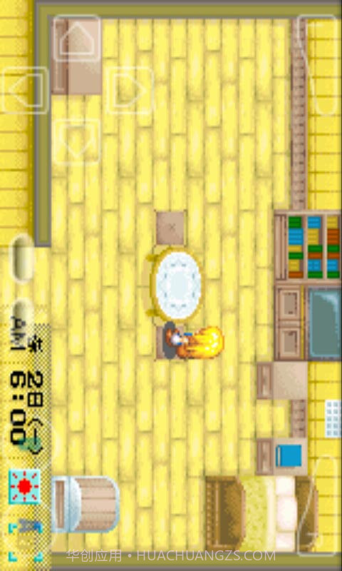 牧场物语：矿石镇的伙伴们女孩版截图2