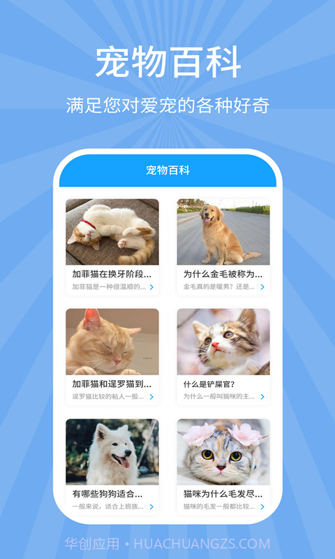 狗猫翻译器截图5 狗猫翻译器截图5