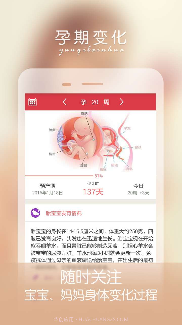 孕妇伴侣截图1 孕妇伴侣截图1