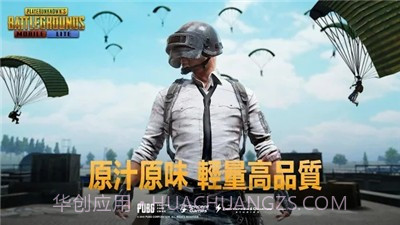 PUBG MOBILE India截图1