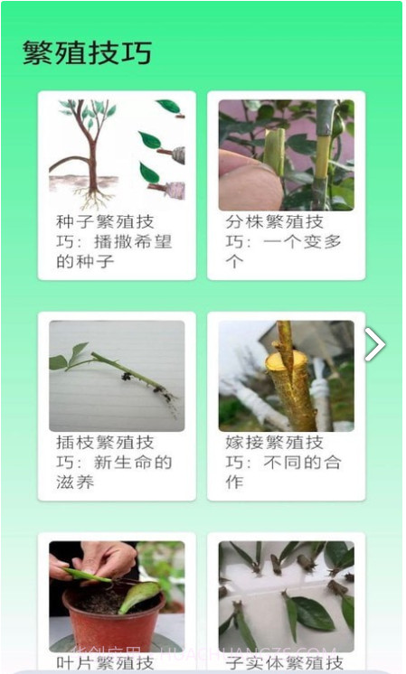 果园管家截图1 果园管家截图1