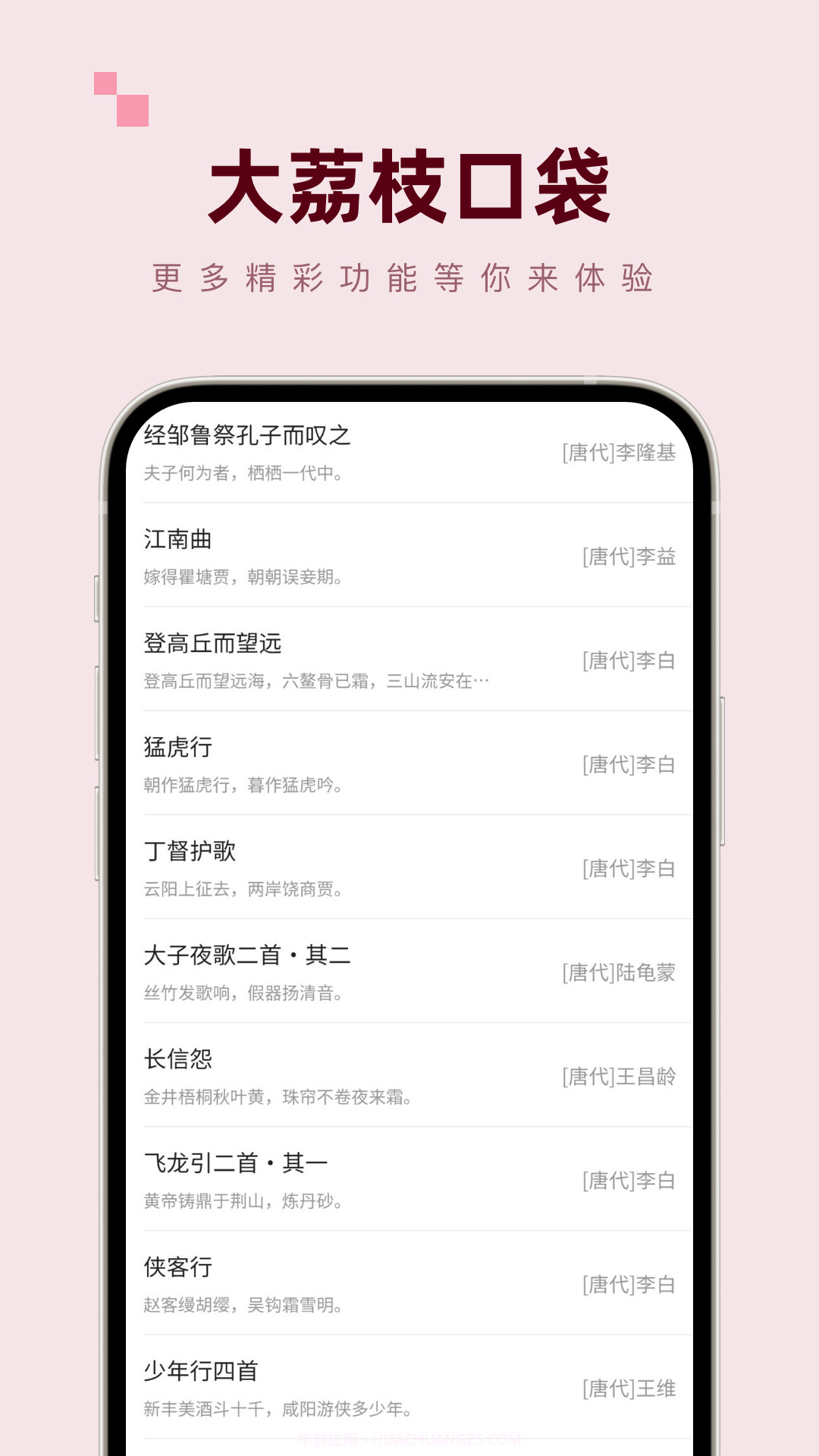 大荔枝口袋截图4