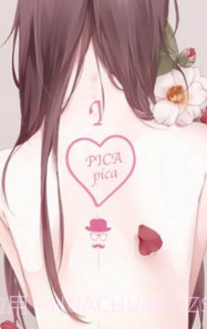 PicACG哔咔正式版入口截图3