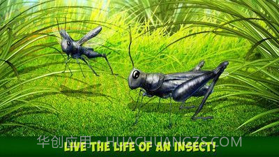 印度蝗虫模拟器汉化版截图2 印度蝗虫模拟器汉化版截图2