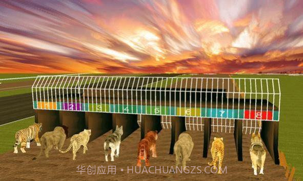 疯狂的丛林动物竞速截图2