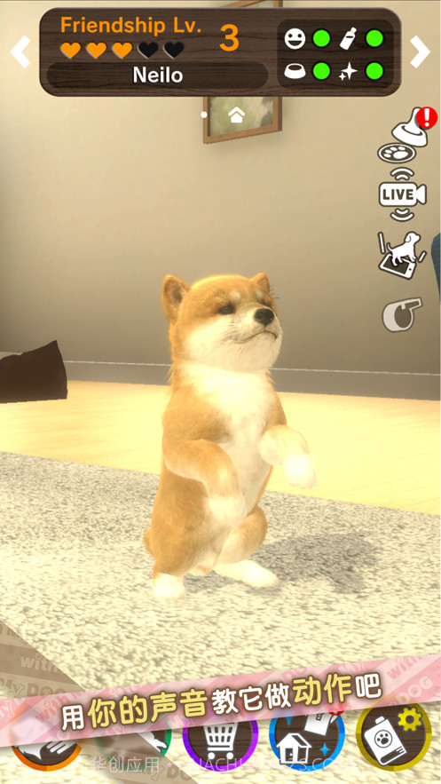 我的梦中情狗截图9 我的梦中情狗截图9