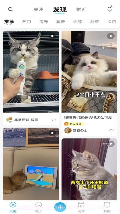 萌宠世界截图1 萌宠世界截图1