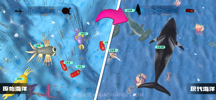 物种进化模拟器截图5 物种进化模拟器截图5
