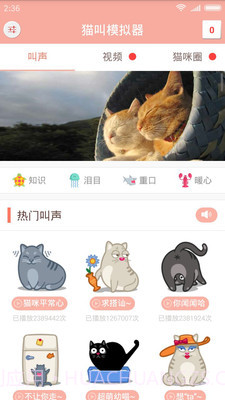 猫叫模拟器截图1 猫叫模拟器截图1