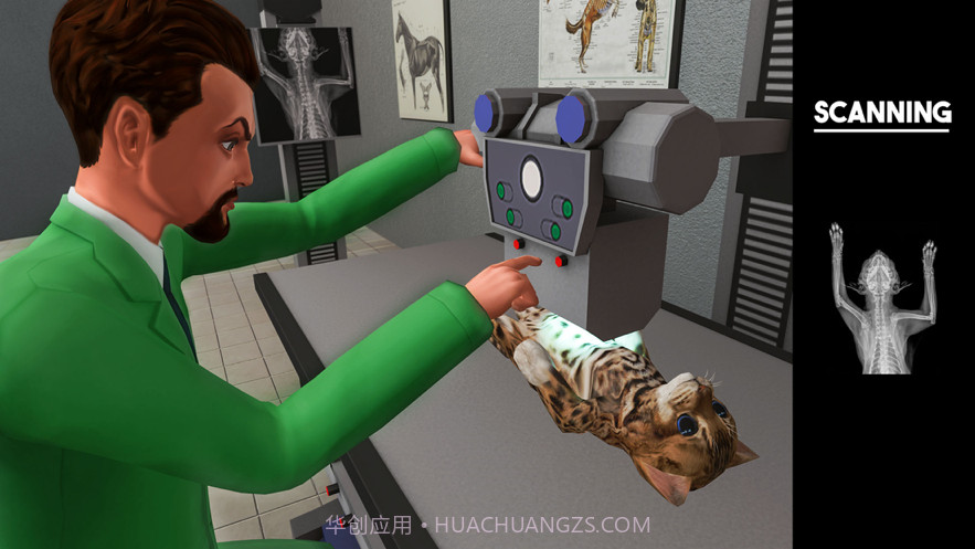 宠物兽医动物医生救援截图3