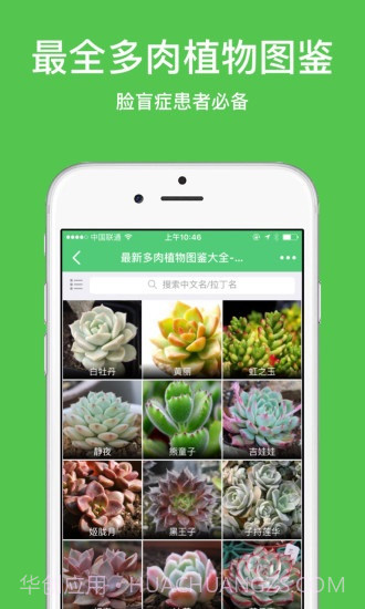 多肉之家截图3 多肉之家截图3