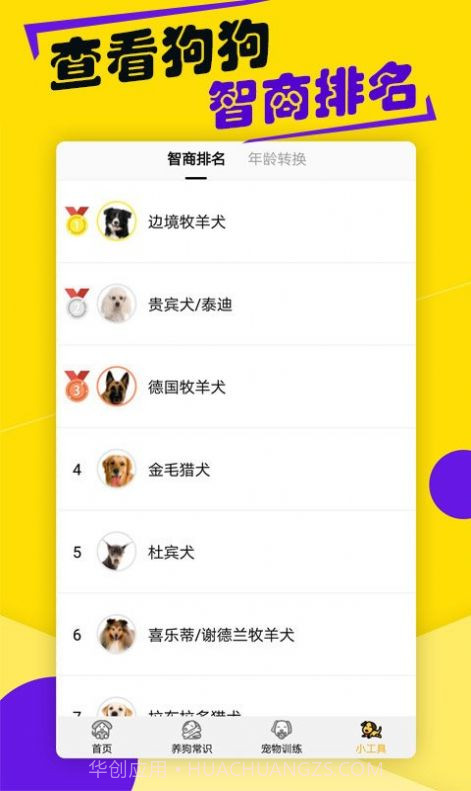 狗语交流翻译器截图2 狗语交流翻译器截图2