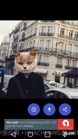 猫头贴纸截图3 猫头贴纸截图3