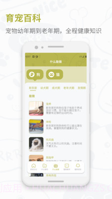 猫狗实时翻译器截图1 猫狗实时翻译器截图1