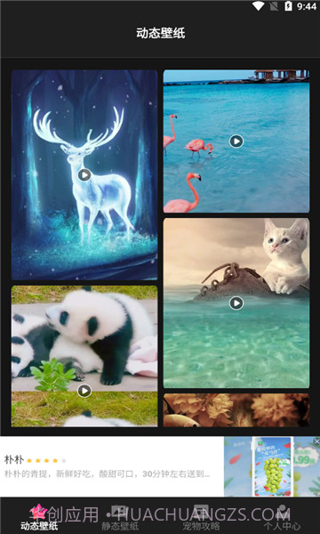 喵喵之家截图3 喵喵之家截图3