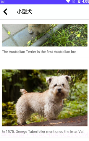 狗狗图鉴截图1