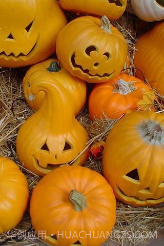 万圣节壁纸2022截图2