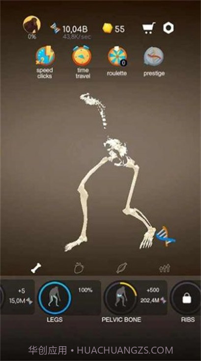 从细胞到人类截图2 从细胞到人类截图2