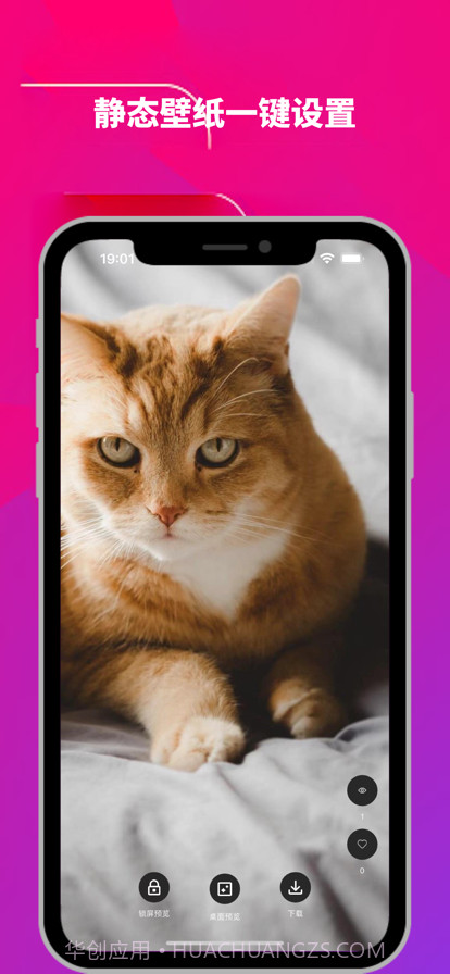 光子铃声壁纸截图4 光子铃声壁纸截图4