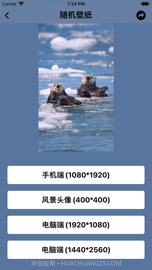 蚂蚁工具截图4 蚂蚁工具截图4