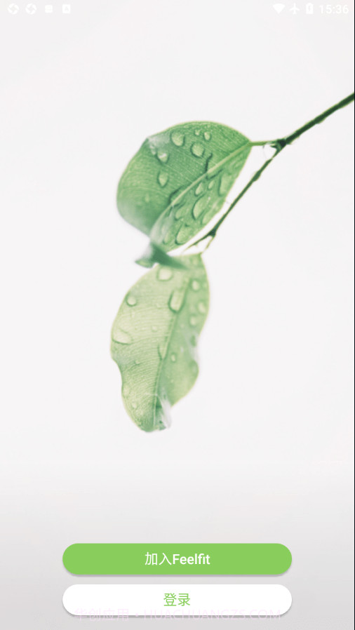 Feelfit截图1 Feelfit截图1
