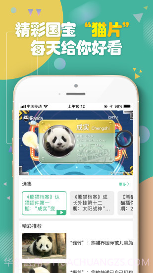 熊猫频道截图2
