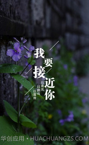 为你写诗(为你写诗软件下载)V3.3.9 截图3