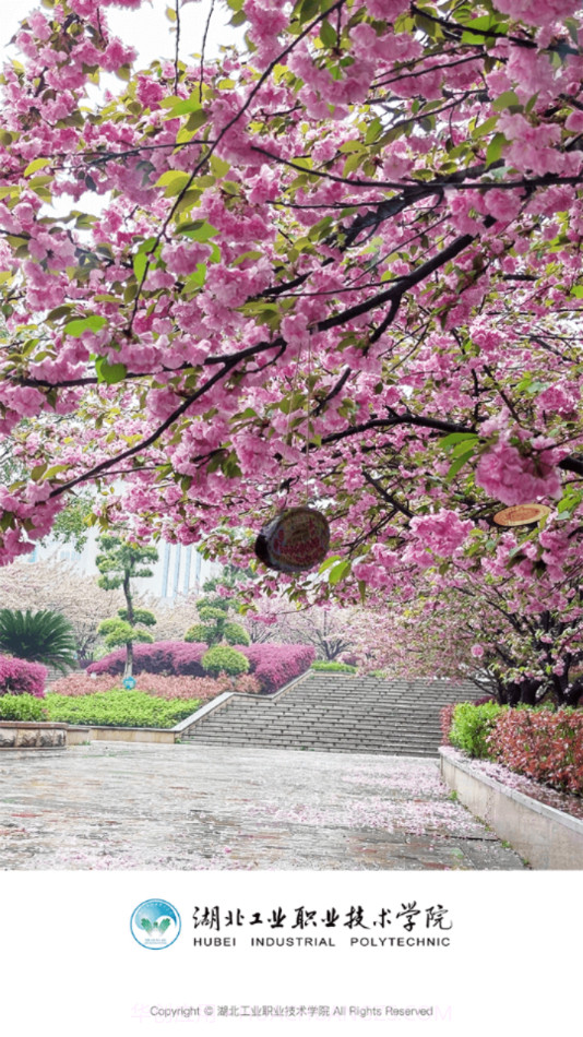 湖工职院截图4 湖工职院截图4