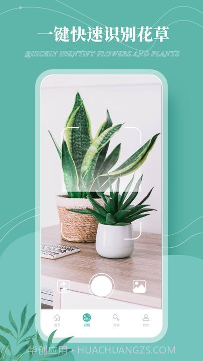花草录截图1 花草录截图1
