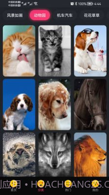 轻甜心截图2 轻甜心截图2