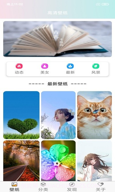 壁纸主题大全免费版截图1