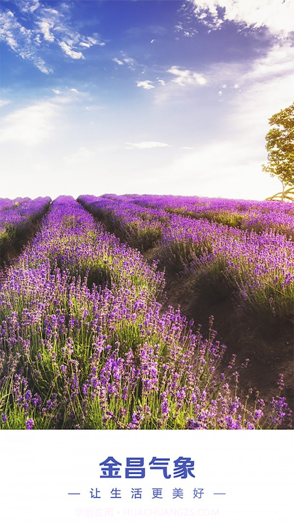 金昌天气预报截图1
