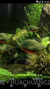 3D食人鱼:梦象动态壁纸截图1 3D食人鱼:梦象动态壁纸截图1