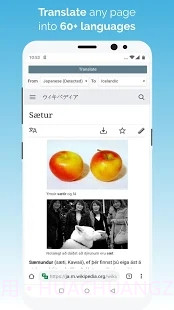 kiwi浏览器截图2