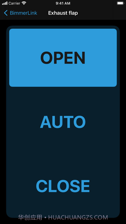 BimmerLink传感器截图3