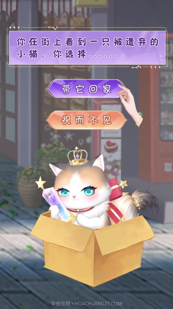 我的灵宠是只猫截图2 我的灵宠是只猫截图2