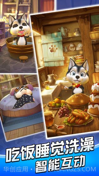 汪星宝贝截图2 汪星宝贝截图2