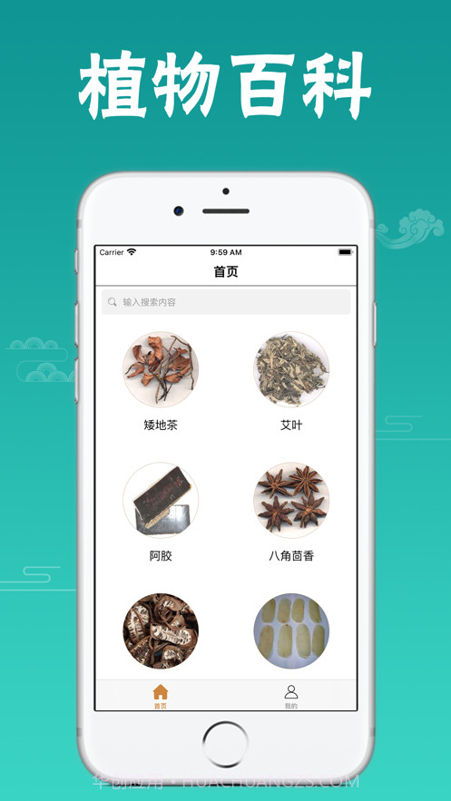 植物百科截图1 植物百科截图1