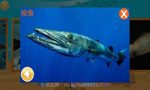 儿童快速识动物(好用婴幼儿早教助手)V1.2 安卓手机版截图3 儿童快速识动物(好用婴幼儿早教助手)V1.2 安卓手机版截图3